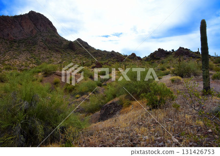 Sonoran Desert Arizona Picacho Peak State Park Sonoran Desert Arizona Picacho Peak State Park 131426753