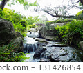 Japanese garden 131426854