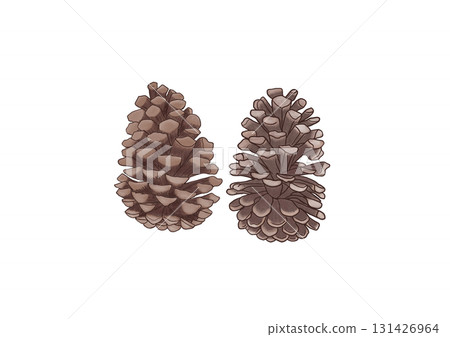 Pinecone Pinecone 131426964