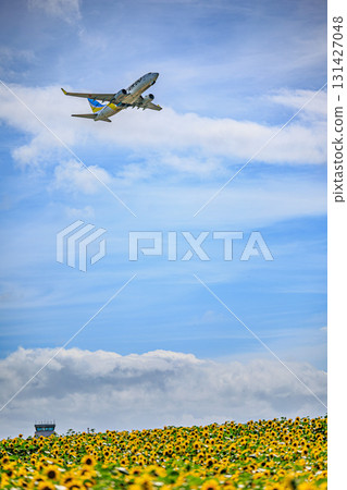 北海道女滿別機場的夏季風景與飛機 131427048