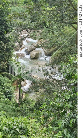 This vibrant close-up nature scene captures foaming whitewater cascading over dark, smooth boulders into a serene pool of light green water, framed by rocky cliffs and lush hanging vegetation above a  131427138