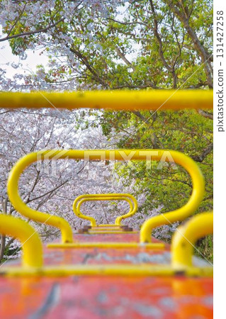 Cherry blossoms, trees and seesaw 131427258