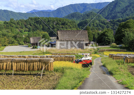 白川鄉合掌村落與稻米收割後的八掛田園風光 白川鄉合掌村落與稻米收割後的八掛田園風光 131427274