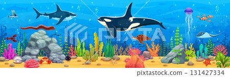 Underwater landscape game background with killer whale and stingray, shark and sea turtle, coral reefs and seaweeds. Vector gui interface level with vivid marine life, water depths and ocean creatures Underwater landscape game background with killer whale and stingray, shark and sea turtle, coral reefs and seaweeds. Vector gui interface level with vivid marine life, water depths and ocean creatures 131427334