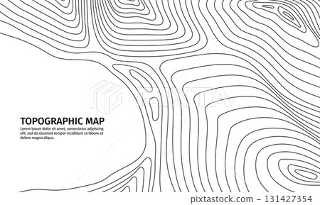 Relief topographic map contour grid. Vector abstract topographical layout with black curve lines, represent geographical terrain landscape structure elevation for cartography or geographical education 131427354