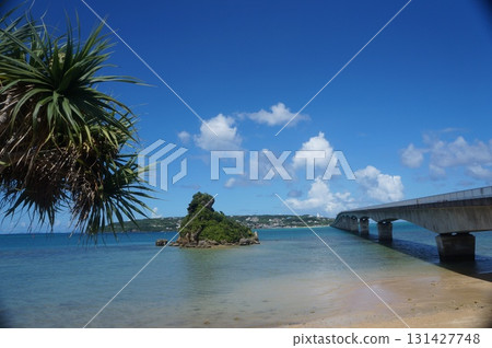 美麗的熱帶海灘和天藍色的天空 131427748