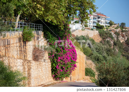 The road to the Turkish city along a stone wall with a flower vine. 131427806