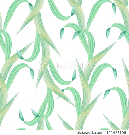Seamless pattern of irises vertical leaves. Watercolor handmade illustration. For packaging design, cards, cover, prints, product labels and fabric. Seamless pattern of irises vertical leaves. Watercolor handmade illustration. For packaging design, cards, cover, prints, product labels and fabric. 131428106