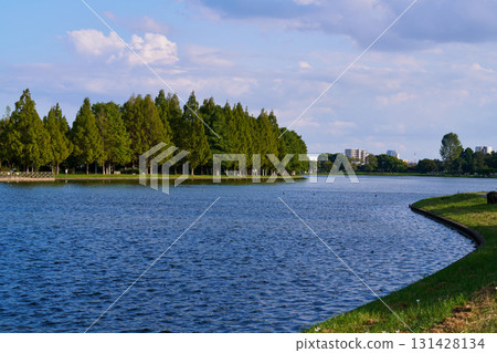 Lakeside view of an urban park with green trees and distant buildings Lakeside view of an urban park with green trees and distant buildings 131428134