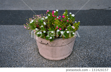街角花盆 131428157