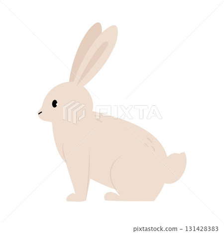 Northern White Rabbit Animal and Zoo Creature from Cold North Vector Illustration Northern White Rabbit Animal and Zoo Creature from Cold North Vector Illustration 131428383