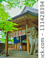 Komainu at a shrine covered in greenery 131428394