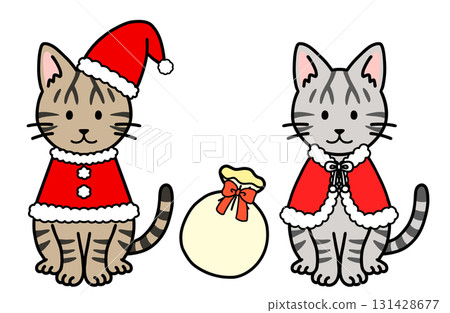 Christmas costume cat 131428677