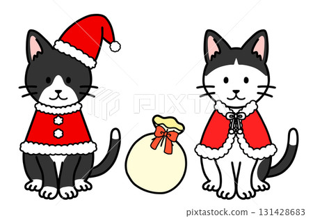 Christmas costume cat 131428683