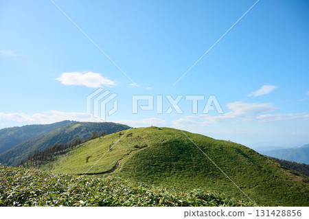 Hakubushiyama的山路 131428856