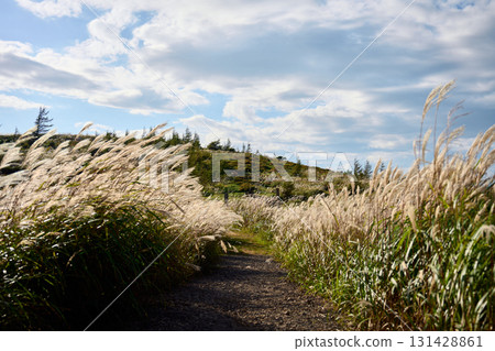 Hakubushiyama的山路 131428861