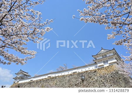 西之丸香塔與染井吉野櫻（姬路城） 131428879