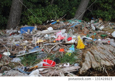 Debris washed up on the shore 131428923