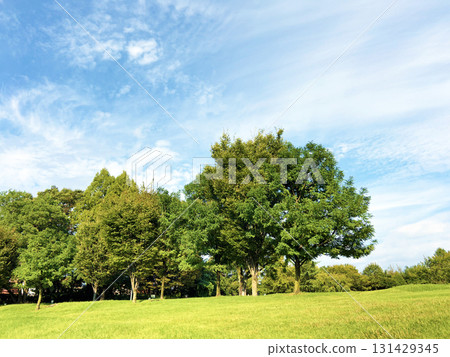 公園與綠色 公園與綠色 131429345