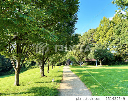 公園與綠色 公園與綠色 131429349