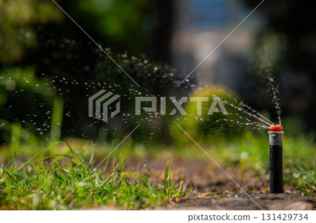 Watch the Sprinkler System in Action Efficiently Watering the Lawn for Healthier Growth 131429734