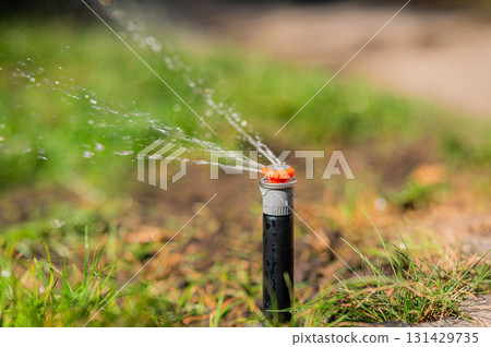 An Efficient Lawn Sprinkler System in Full Action on a Beautiful Sunny Day Outside 131429735