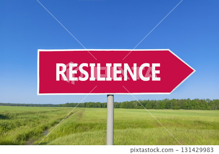 Resilience symbol. Concept word Resilience on beautiful red road sign. Beautiful blue sky green grass and forest peaceful nature background. Business resilience concept. Copy space. 131429983
