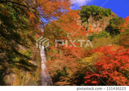 Autumn leaves at Meiji no Mori Minoh Quasi-National Park (Minoh City, Osaka Prefecture) <Minoh Falls> Autumn leaves at Meiji no Mori Minoh Quasi-National Park (Minoh City, Osaka Prefecture) <Minoh Falls> 131430223