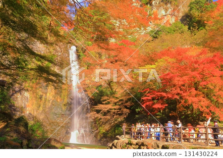 明治之森箕面國定公園的紅葉（大阪府箕面市）<箕面瀑布> 131430224