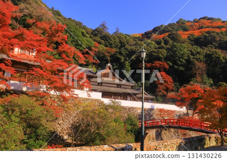 Autumn leaves in Meiji-no-Mori Minoh Quasi-National Park (Minoh City, Osaka Prefecture) <Zuiunkaku Reception Hall> 131430226