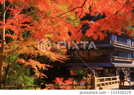 明治之森箕面國定公園一之橋附近的紅葉（大阪府箕面市） 131430229