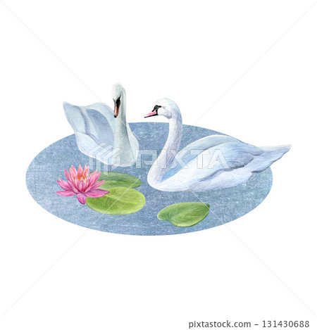 Watercolor composition of white swans, pond and lotus with water lily leaves. Good for postcards, invitations, greeting cards 131430688