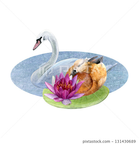 Watercolor composition of brown duck, white swan, pond and lotus with water lily leaf. Good for postcards, invitations, greeting cards 131430689
