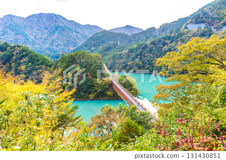 靜岡縣奧大井站的秋日風景 131430851