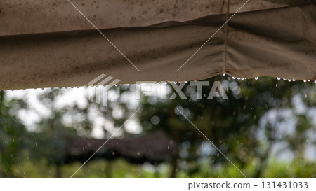 光線下閃耀的懸浮雨滴特寫 131431033