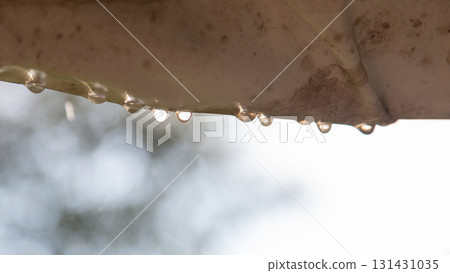 Close-up of suspended raindrops shining in the light 131431035