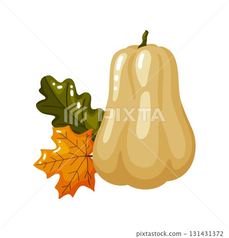 Butternut Squash with Autumn Leaves Illustration Butternut Squash with Autumn Leaves Illustration 131431372