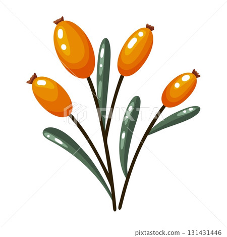 Orange Berries Branch Hand Drawn Doodle Orange Berries Branch Hand Drawn Doodle 131431446
