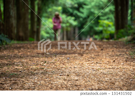 A leisurely stroll along Taiwan's forest trails A leisurely stroll along Taiwan's forest trails 131431502