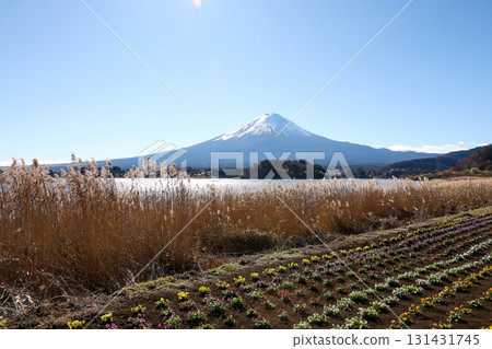 View of landscape fuji mountain in winter at Lake Kawaguchi View of landscape fuji mountain in winter at Lake Kawaguchi 131431745