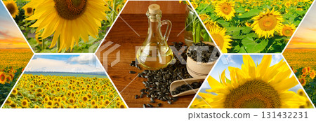 Sunflower Collage with Oil and Seeds Sunflower Collage with Oil and Seeds 131432231