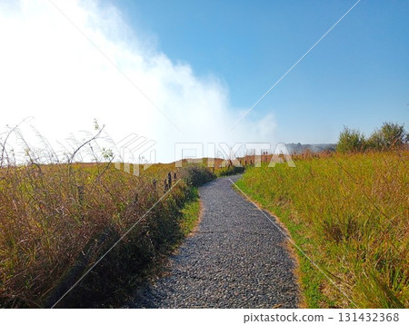 Victoria Falls Zimbabwe 9 131432368