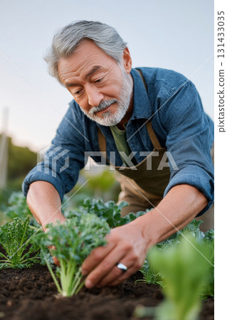 A close-up of a man s hands tending to plants in a garden, with soft lighting that captures the gentle motion of his work, set against the backdrop of a lush green field under a clear sky 131433035