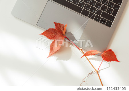 Workspace with Laptop and Autumn Leaves under Sun light Workspace with Laptop and Autumn Leaves under Sun light 131433403