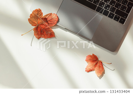 Workspace with Laptop and Autumn Leaves under Sun light 131433404