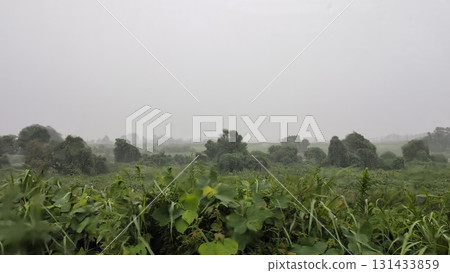 雨後的河床 雨後的河床 131433859