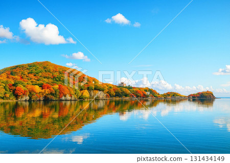 積丹半島的紅葉 131434149