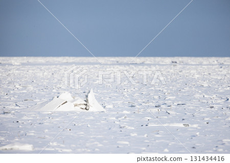 Frozen Baltic Sea, flat snow-covered landscape under a clear blue sky 131434416