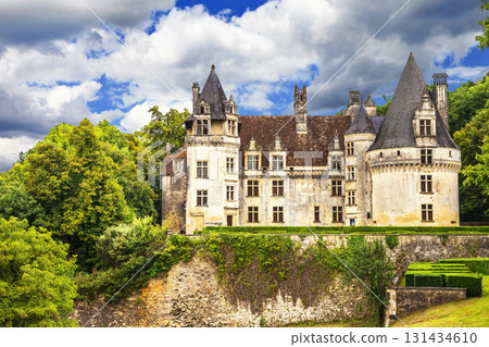 beautiful castles of France - Puyguilhem, Dordogne provence 131434610