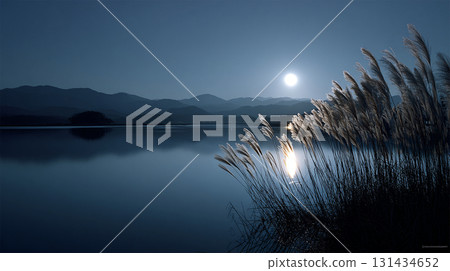 A tranquil night view of the full moon and silver grass 131434652